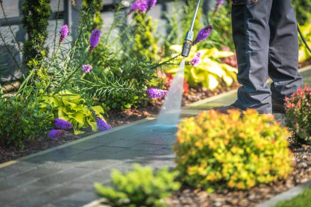 Trusted Brandermill, VA Pressure Washing Services Experts